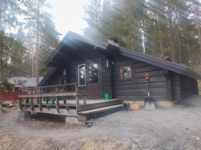 Ahti's Cabin